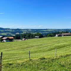 22-07-03 16-30-20 1358